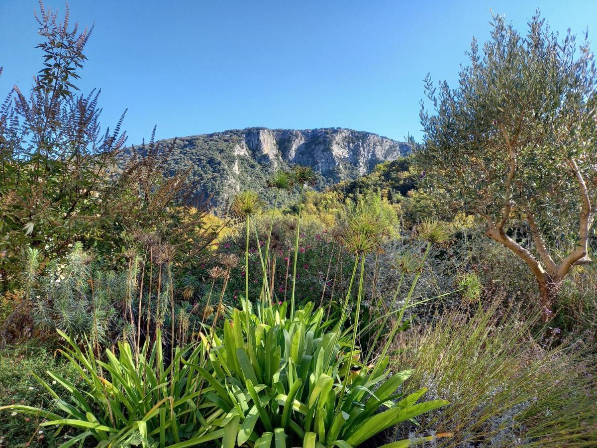 Gite En Cevennes Du Sud, Bergerie Restauree Au Rez De Jardin D'Une Bastide Avec Piscine, Vue Exceptionnelle, Authenticite Et Confort Saint-Laurent-le-Minier Exterior foto