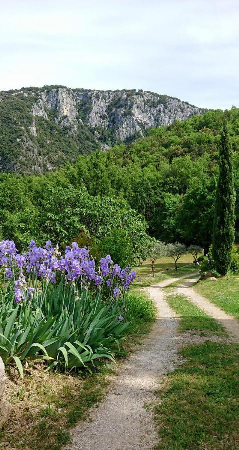 Gite En Cevennes Du Sud, Bergerie Restauree Au Rez De Jardin D'Une Bastide Avec Piscine, Vue Exceptionnelle, Authenticite Et Confort Saint-Laurent-le-Minier Exterior foto