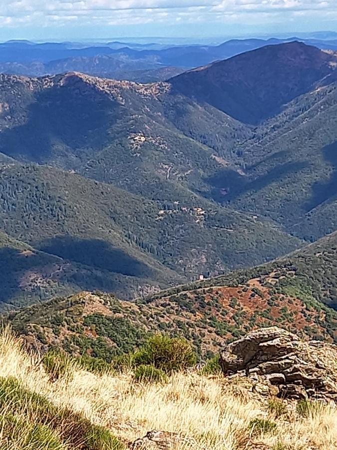Gite En Cevennes Du Sud, Bergerie Restauree Au Rez De Jardin D'Une Bastide Avec Piscine, Vue Exceptionnelle, Authenticite Et Confort Saint-Laurent-le-Minier Exterior foto